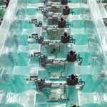 Detailed view of organized electronic circuit boards in a production setting.
